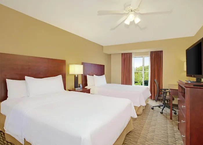 Discover the Best Hotels in Brandon, FL for Your Next Visit