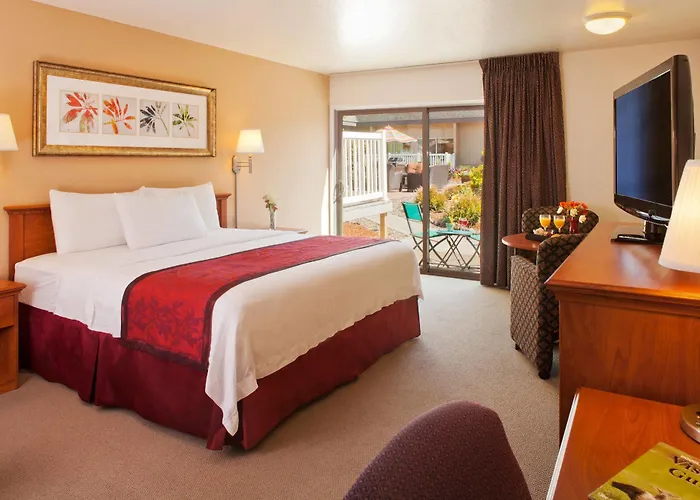 Explore the Best Hotels Roseburg Oregon Has to Offer