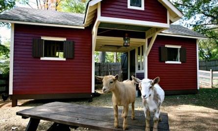 Social Goat Bed and Breakfast, Atlanta