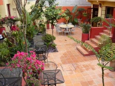 The Red Tree House, Mexico