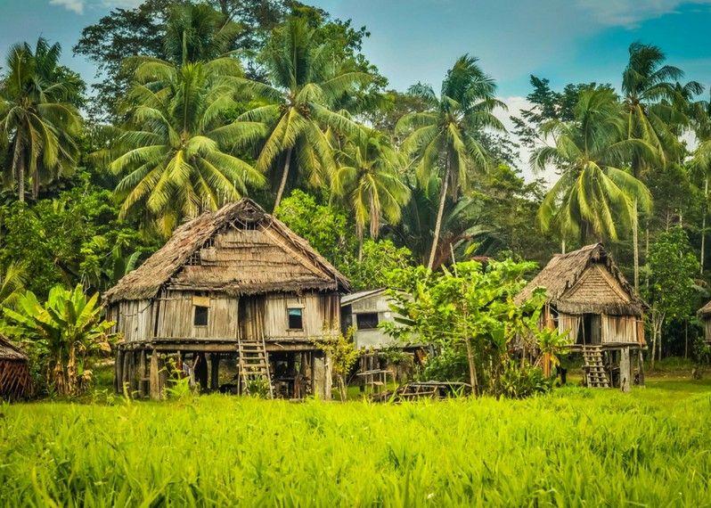 Abitazioni tipiche di Palembe, lungo il fiume Sepik in Papua Nuova Guinea.
©Michal Knitl/Shutterstock