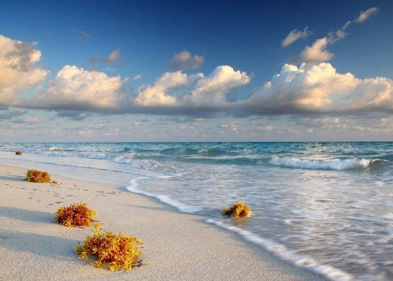 Una bianca spiaggia di sabbia nella luce del primo mattino, Cuba. ©Image by Chris Winsor/Getty Images