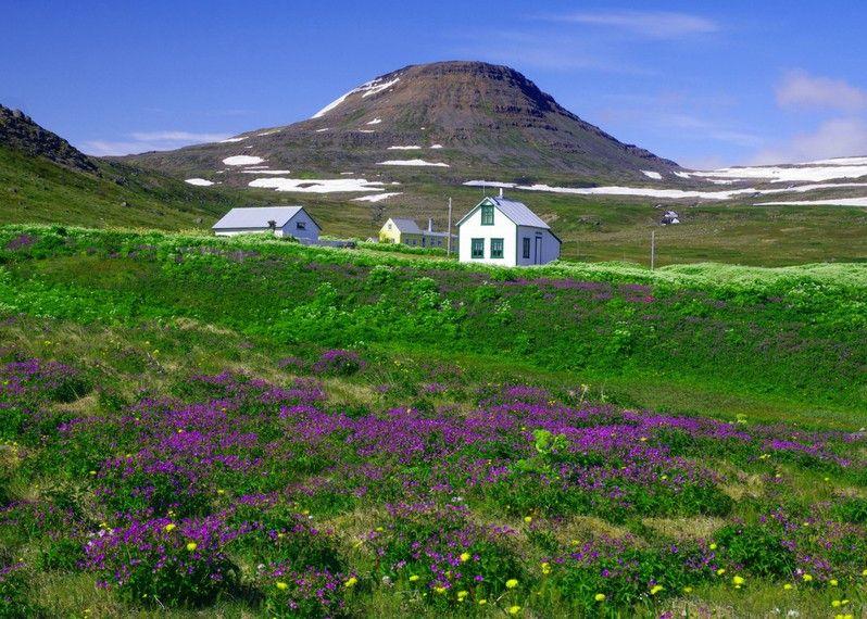 13 reasons for a trip to Iceland