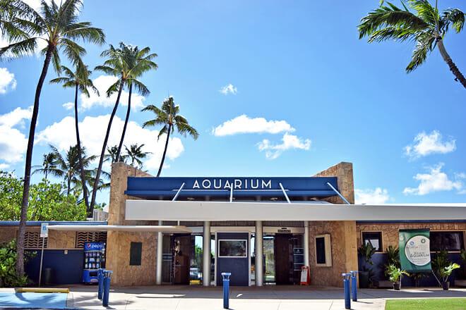 Waikiki Aquarium