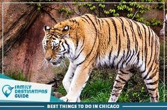 Best Things To Do In Chicago