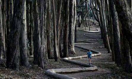 Andy Goldsworthy in the Presidio, San Francisco