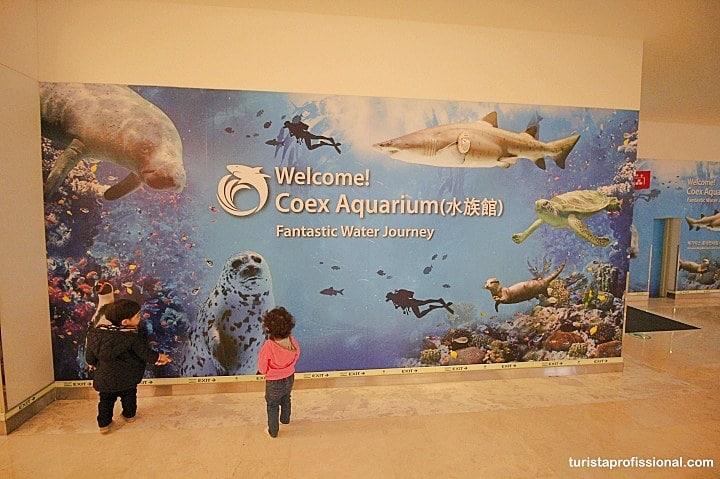 Aquario de Seul - O que fazer em Seul: principais pontos turísticos